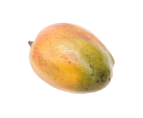 Mangue