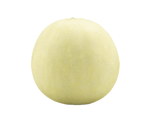 Melon