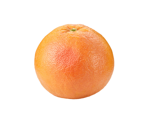Pamplemousse