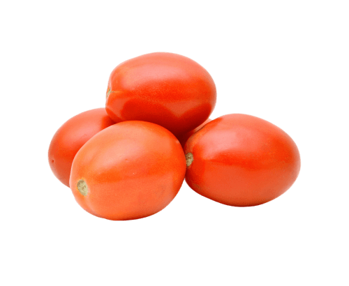 Tomate allongée