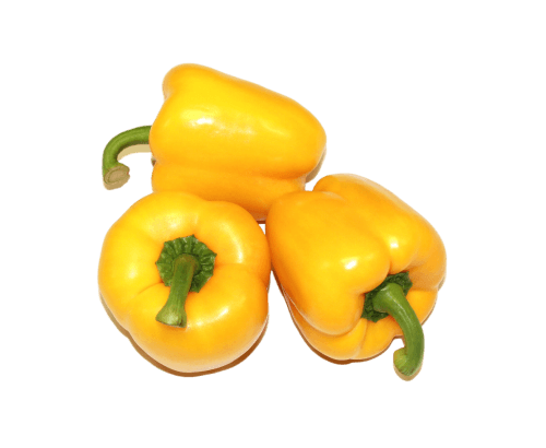 Poivron jaune