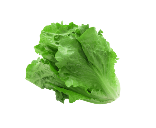 Salade verte